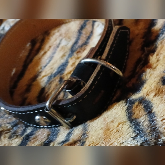 Dog collar - Picture 2 of 5